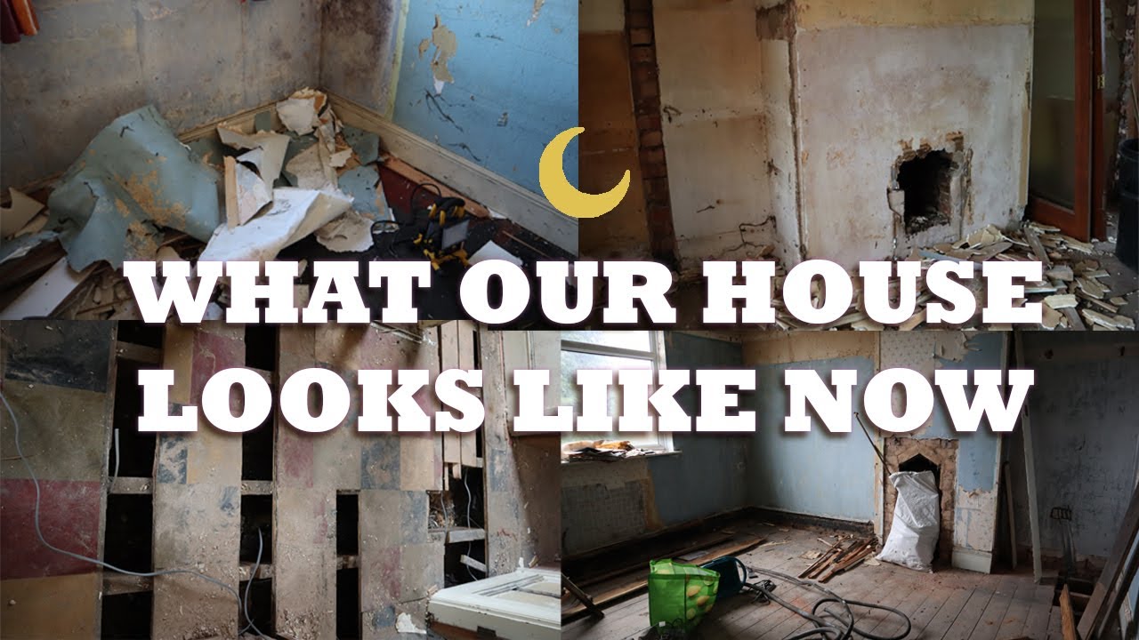 2 WEEKS IN TAKING OUR HOUSE APART! || 1930's Home Renovation Project - Part 2 || PrimroseDoe 🌸