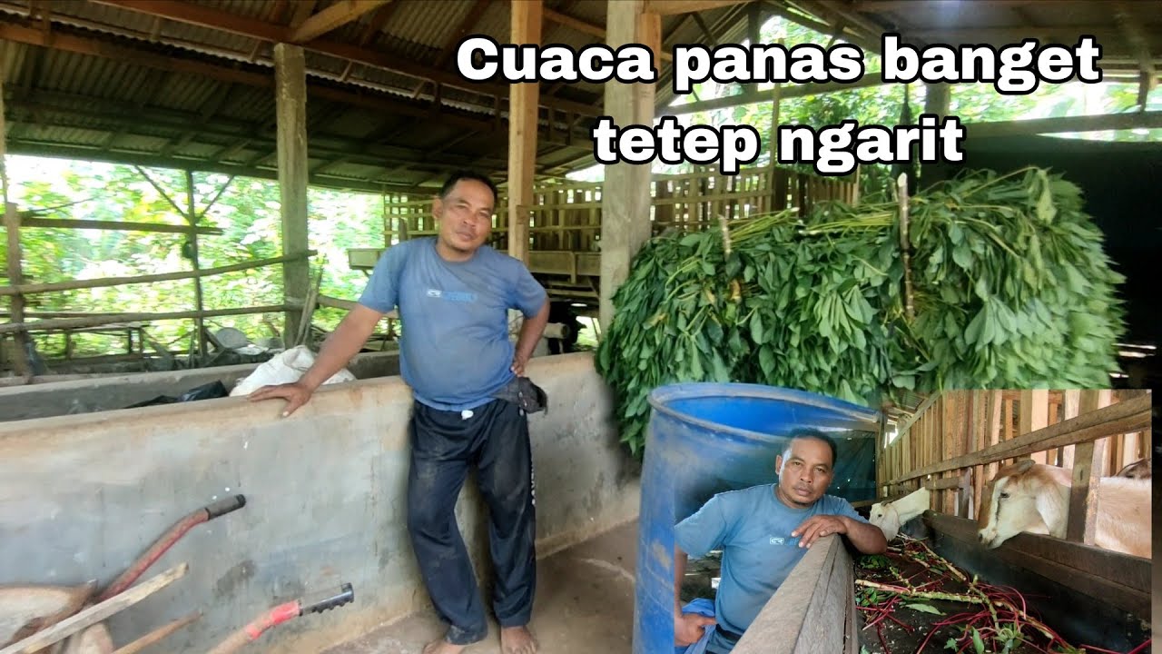 Karepmu pak penting di saur poso ne