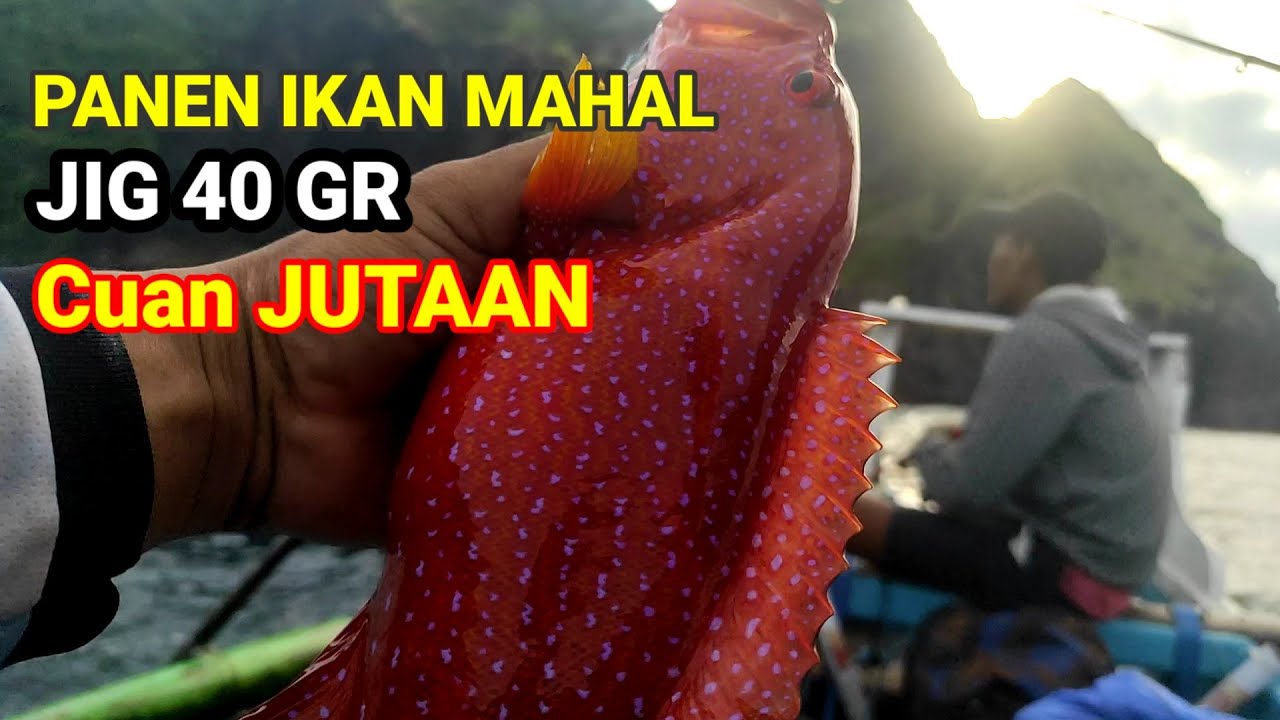 ULTRALIGHT JIGING PAGI HARI TEPAT DI KERAJAAN KERAPU DAN GREENJOBS #mancingmania #ultralightjigging