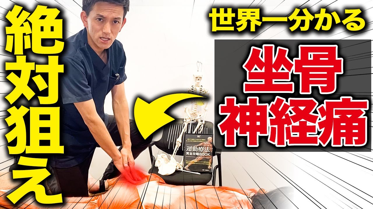 【開業してる治療家必見】見るだけで坐骨神経痛の種類やテクニックが全て理解できる！特別に徹底解説します！