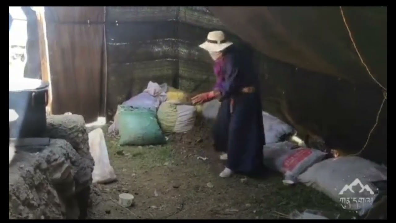 ༄། དེང་དུས་འཚོ་བའི་འཁྲབས་སྟོན།💪