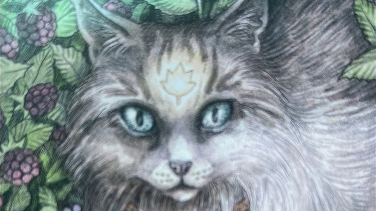 Queen of Pentacles &ldquo;Abundance&rdquo;