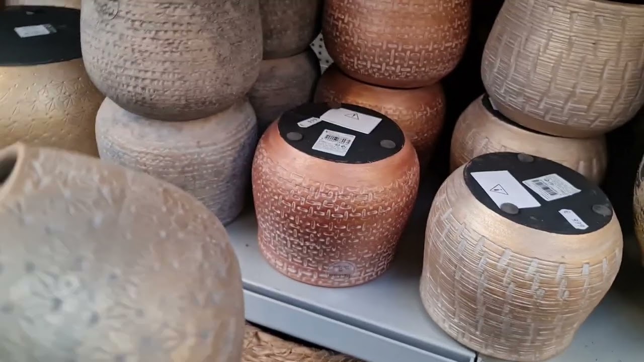 Saksılar yetmedi ne bize Sera göründü#almanya #sukulent #vlog