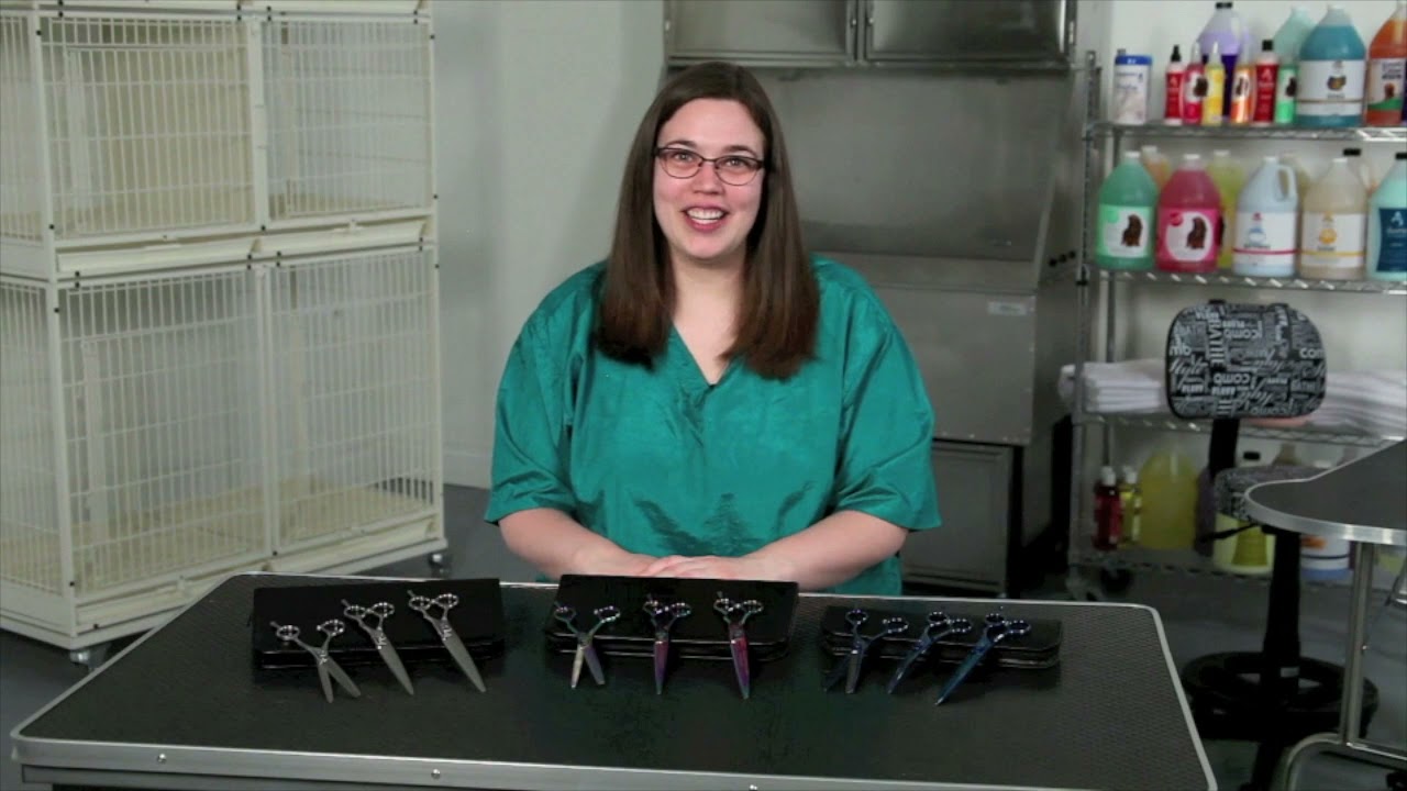 Master Grooming Shears for Professional Dog Grooming