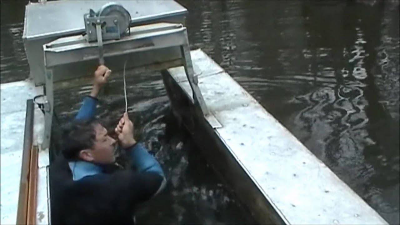 Curly Pine Recovery.mp4