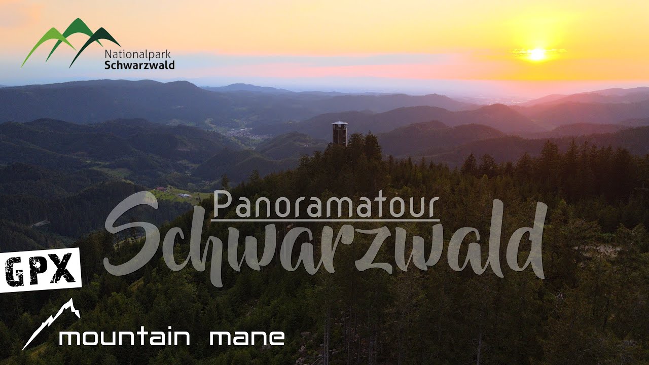 MTB Schwarzwald - Schliffkopf Panorama-Tour