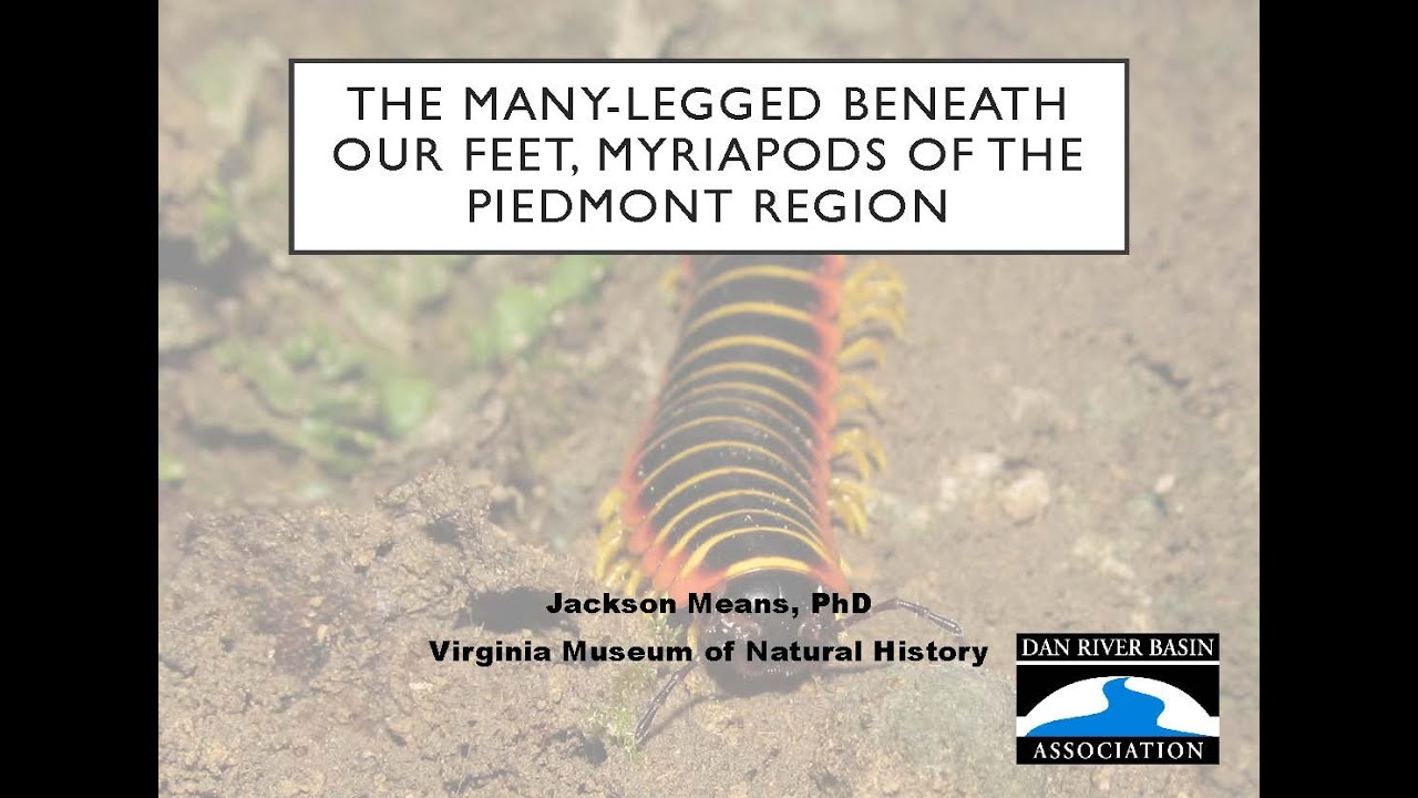 The Many-Legged Beneath Our Feet, Myriapods of the Piedmont Region