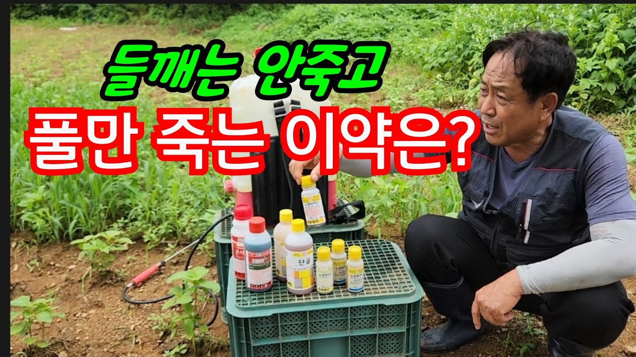 들깨 밭에 풀만 죽이는 제초제가 있어요