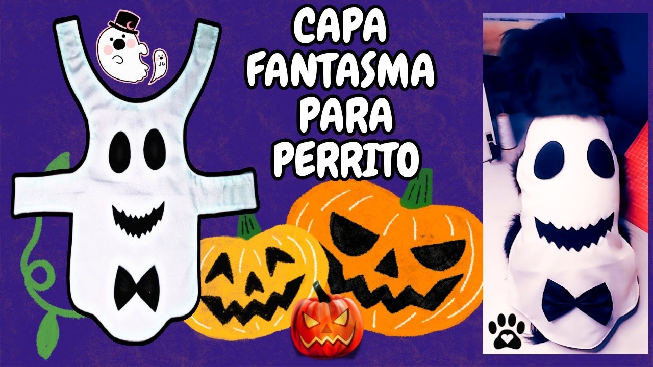 CAPA FANTASMA PARA PERRITO - DIY HALLOWEEN - moldes gratis