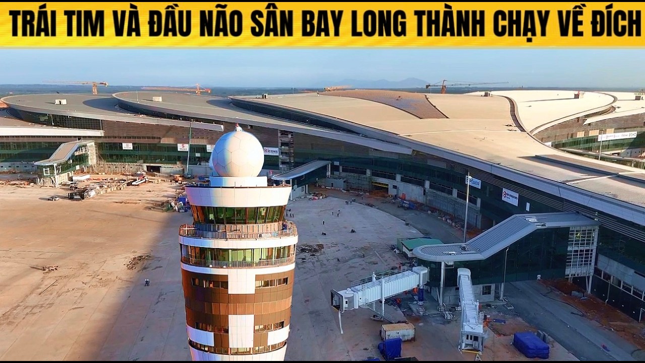TR&Aacute;I TIM V&Agrave; ĐẦU N&Atilde;O S&Acirc;N BAY LONG TH&Agrave;NH CHẠY Đ&Agrave; VỀ Đ&Iacute;CH.