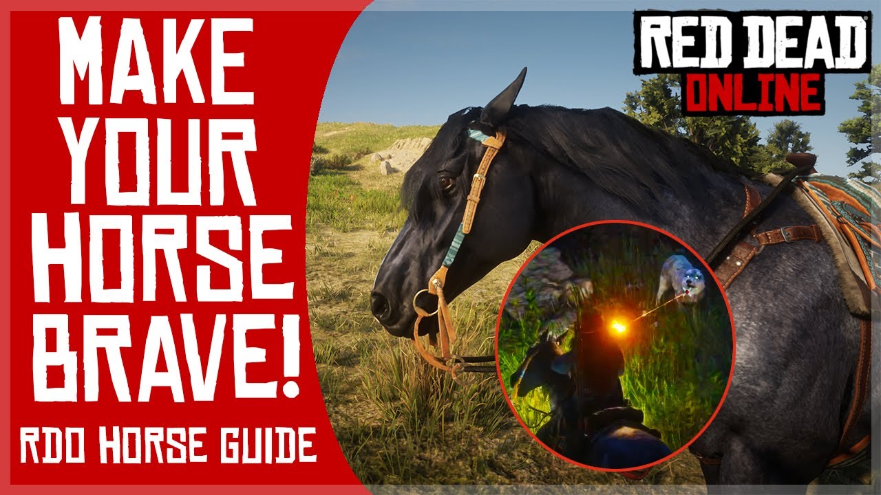 Сделайте свою лошадь ХРАБРОЙ! ⭐ Часто задаваемые вопросы о руководстве RDO Horse