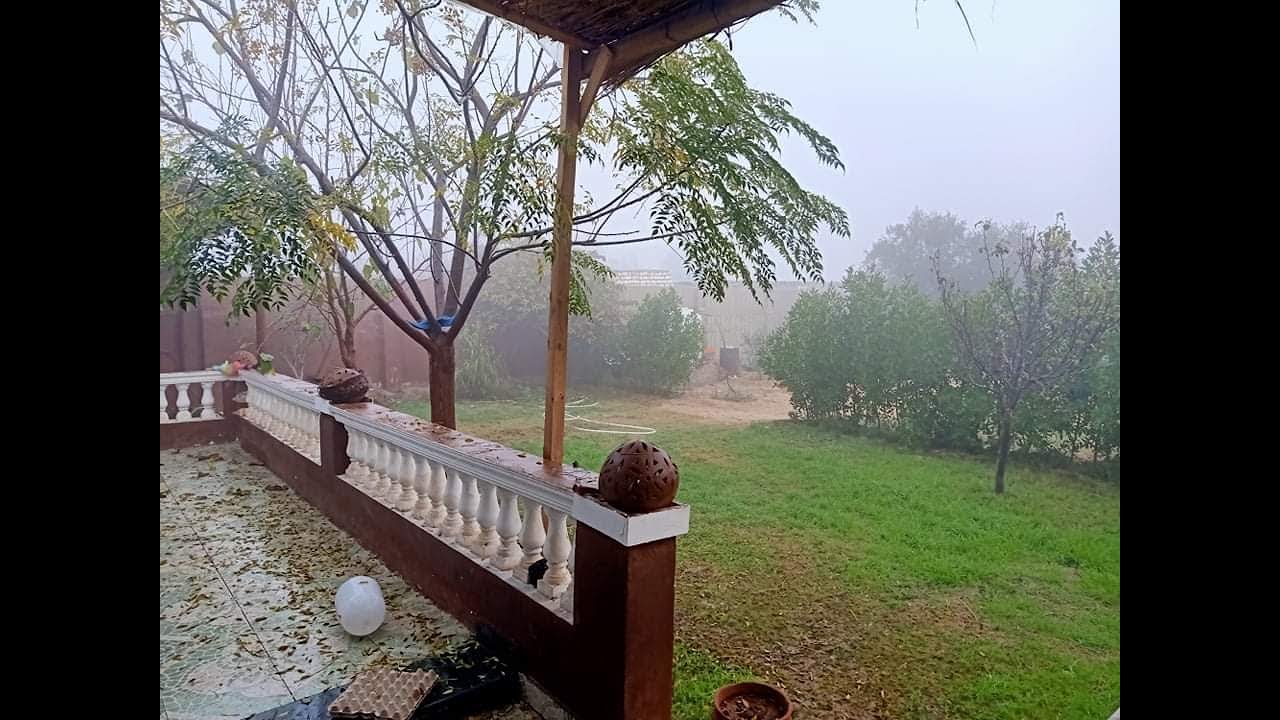 نصف فدان اسماعيلية الصحراوي للانتاج الحيواني