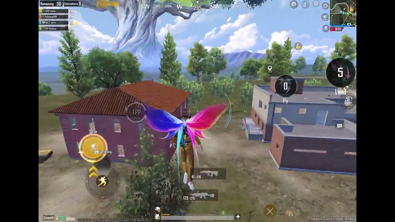 20 solo chicken 