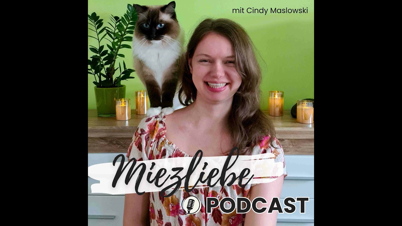 #22 Neue Katze, neues Glück? So triffst du die richtige Entscheidung für dein Katzenteam