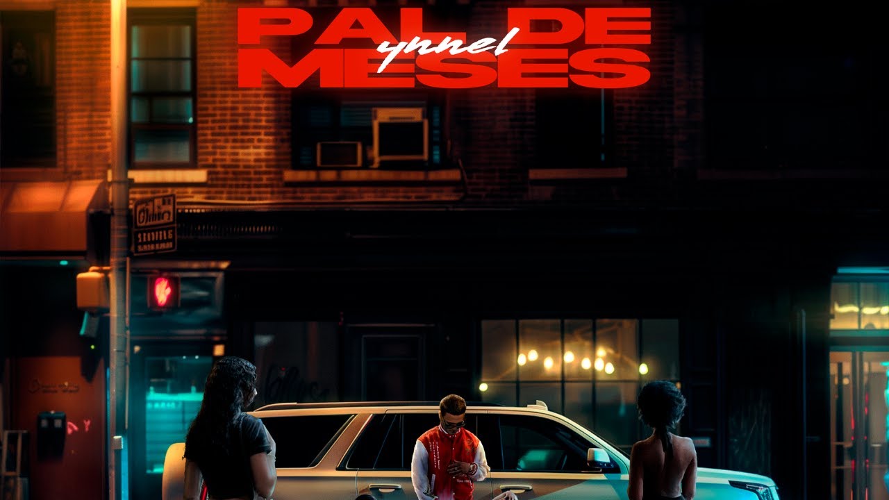 YNNEL-PAL DE MESES (VISUALIZER)