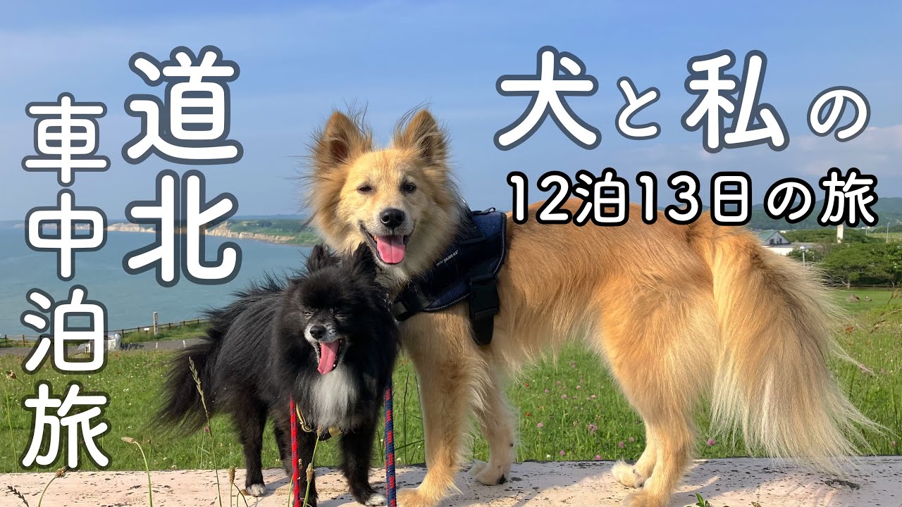 ポメ＆雑種犬と私、2週間の道北旅へ〜涼しい道北を巡るキャンピングカー旅スタート!（厚田〜小平〜羽幌〜初山別、オロロンライン旅①)