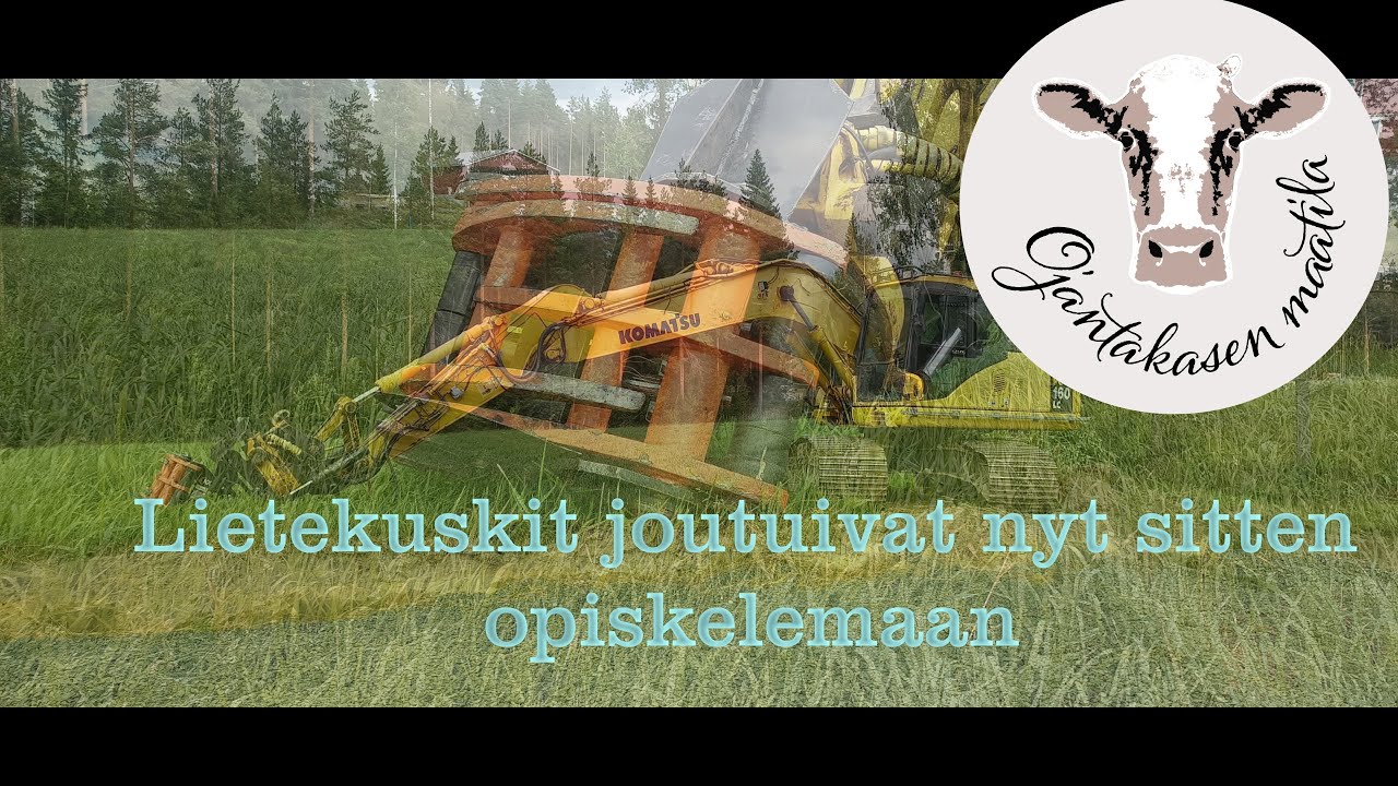 1000 tilaajan jakso - lietekuskit koulun penkille ? Tontilta risujen poistoa KX-kouralla