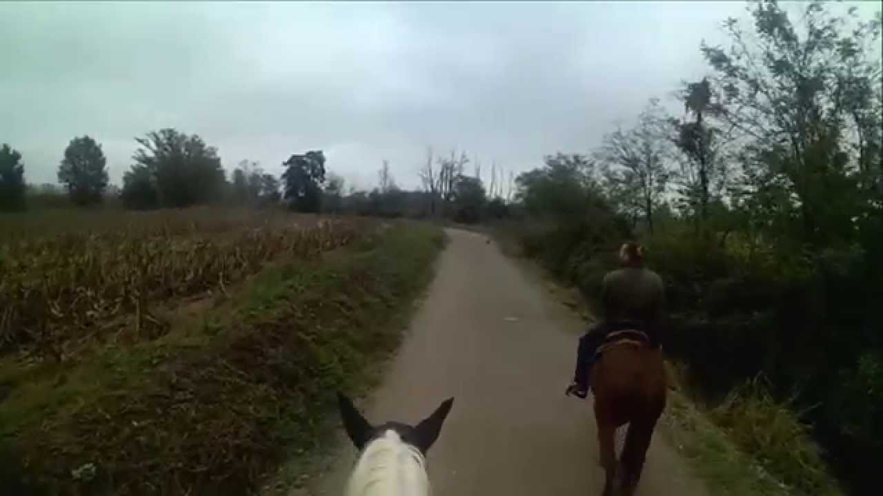 Horseback riding - Nino and Surprise & Adam and Hela