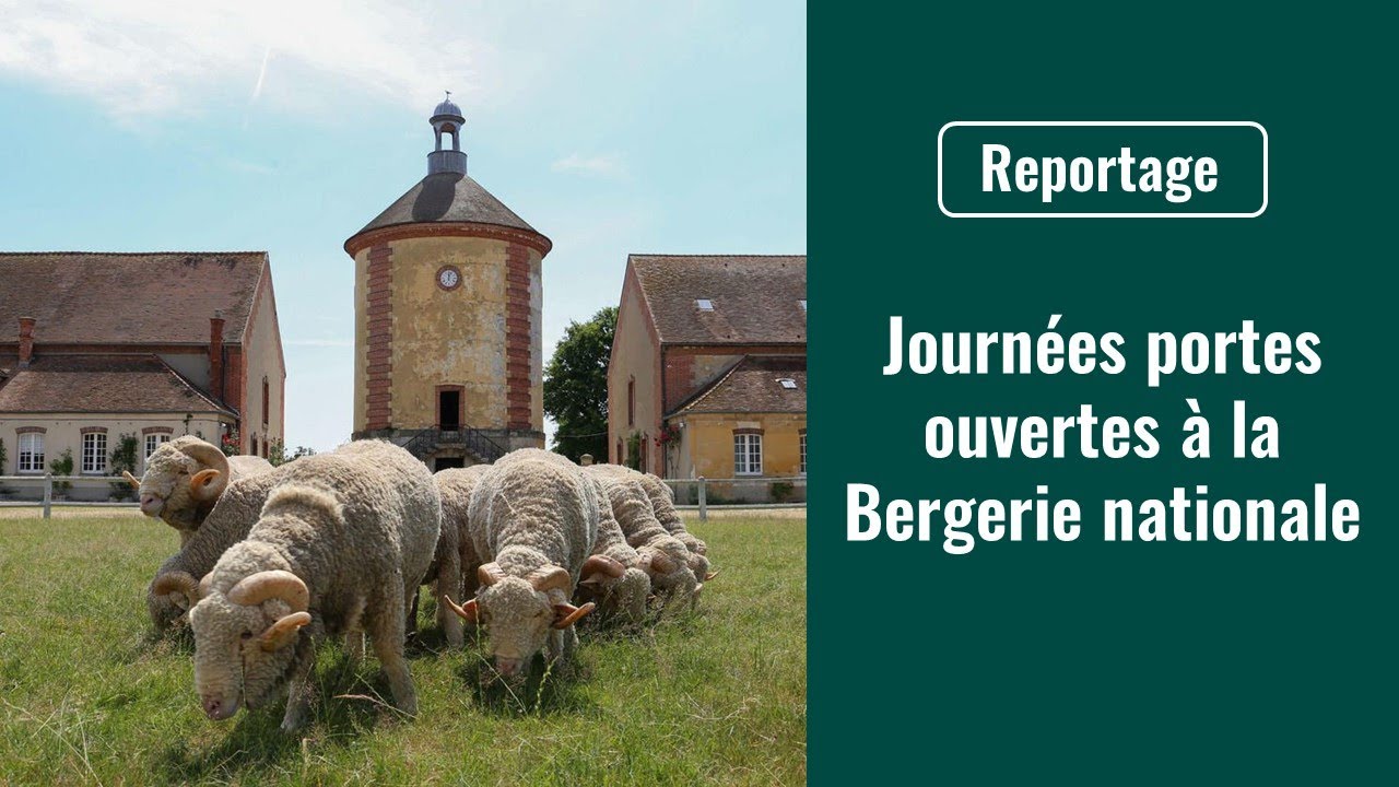 Journées portes ouvertes à la Bergerie nationale