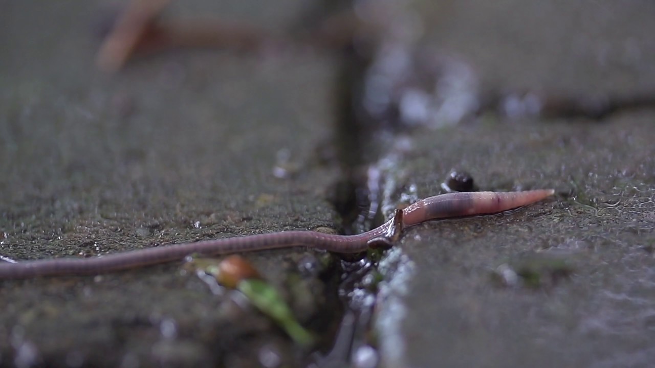 Your New Age Bullshit Affirmation