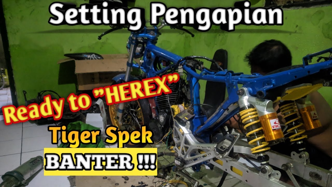 Tiger HEREX 200 CC SETTING PENGAPIAN siap untuk HEREX-an | BANGKIT DARI TIDURNYA !!!