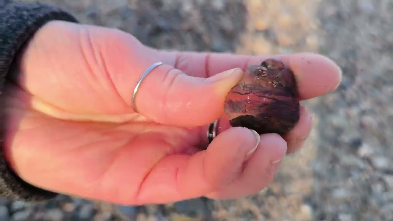 Mitgenommen aus der Elbe - diese Edelsteine durften mit
