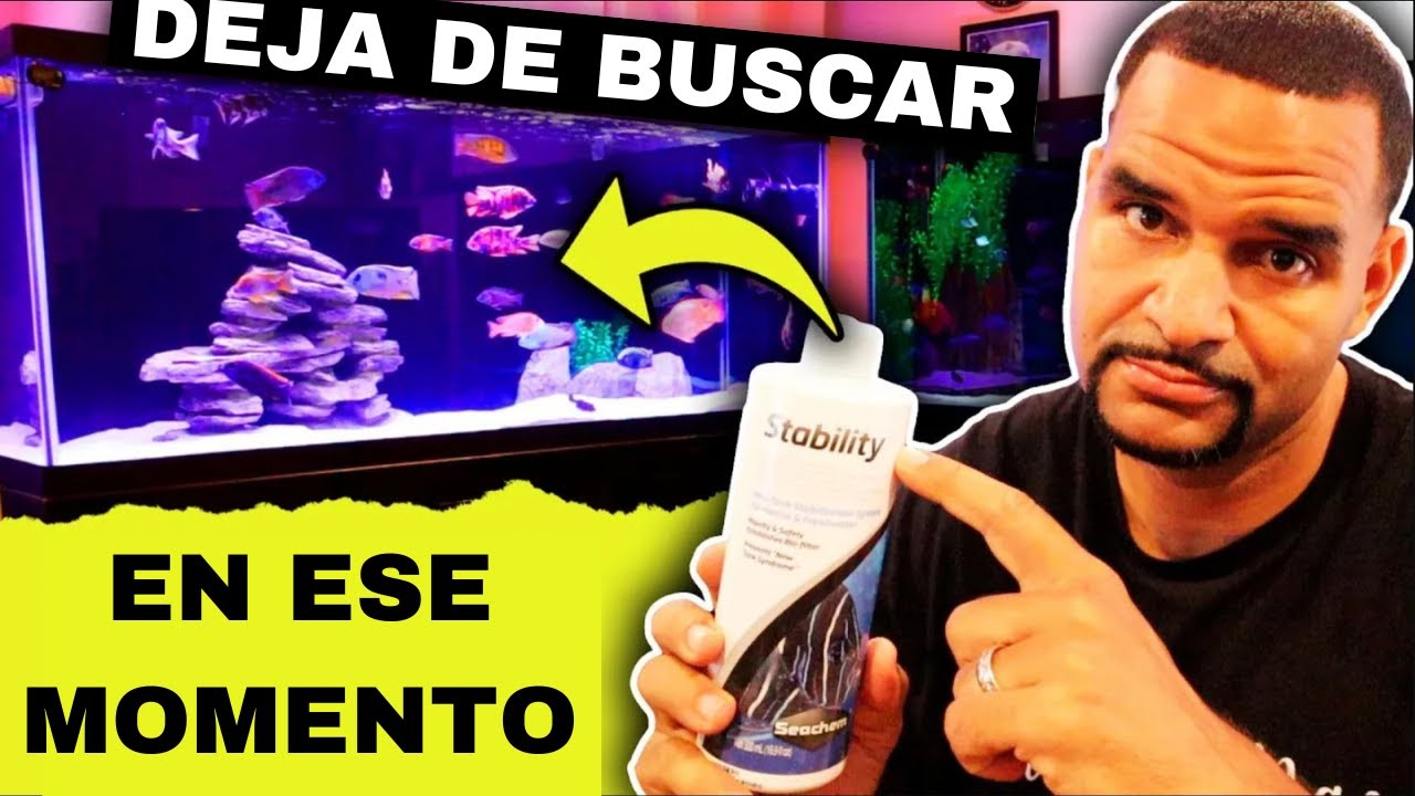 Cuándo añadir bacterias al acuario - (Estabilidad de Seachem)