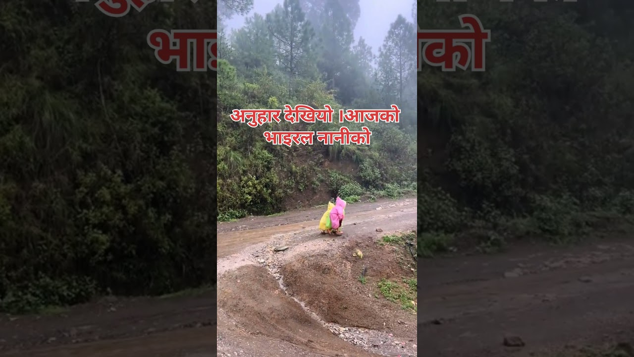 A video of three young children walking to school during a downpour is currently going viral.