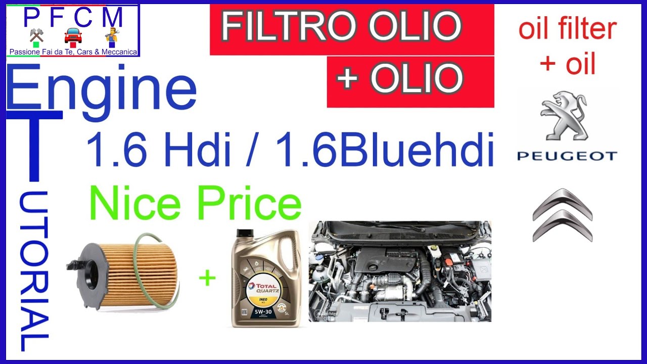👍CAMBIO FILTRO E OLIO FAI DA TE SU 1.6 BLUEHDI CITROËN,PEUGEOT,OPEL,FORD.C3 AIRCROSS VIDEO GRATIS🤩