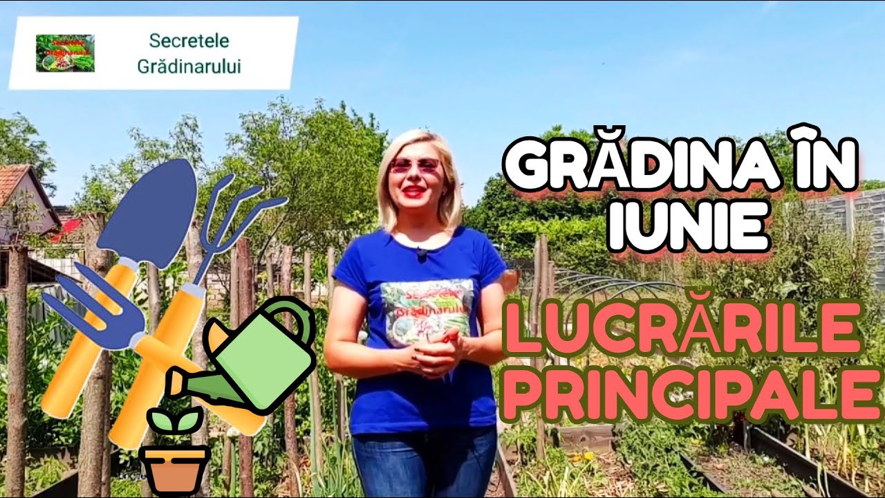 Ce plantăm/ semănăm în IUNIE. Principalele lucrări în grădină 🌱🌱🌱