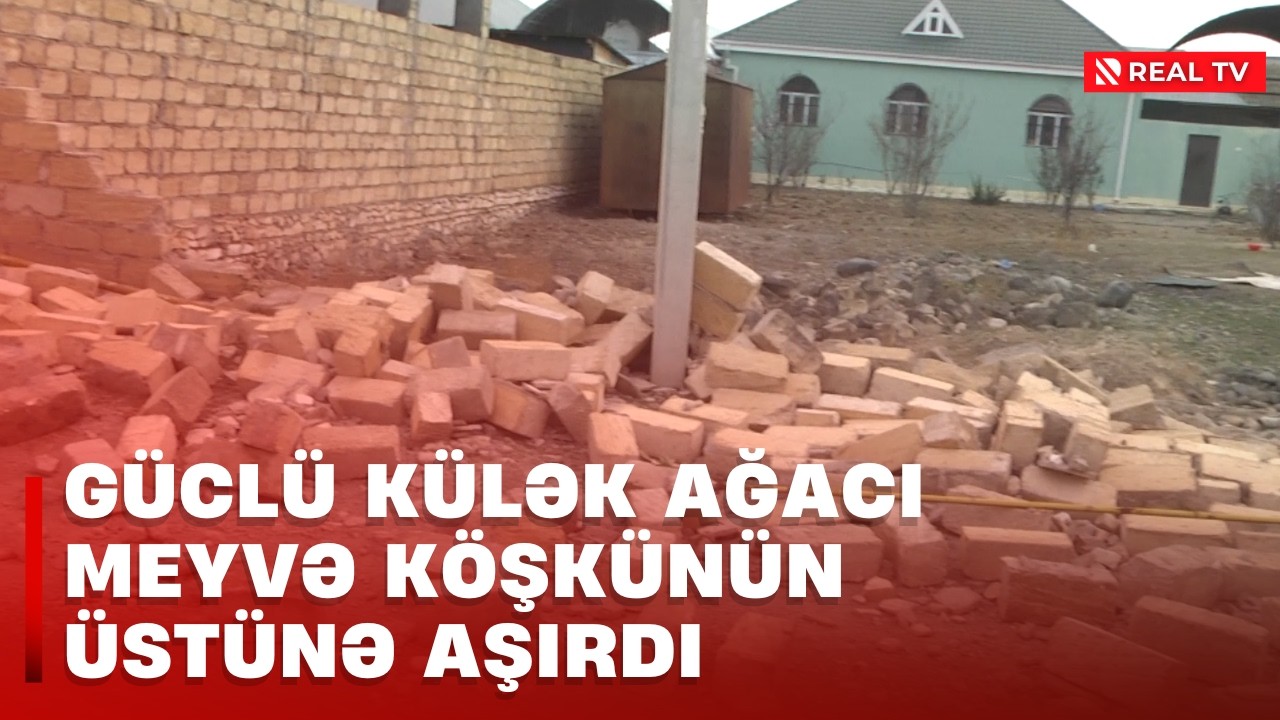 Gəncədə güclü külək fəsadlara yol açdı