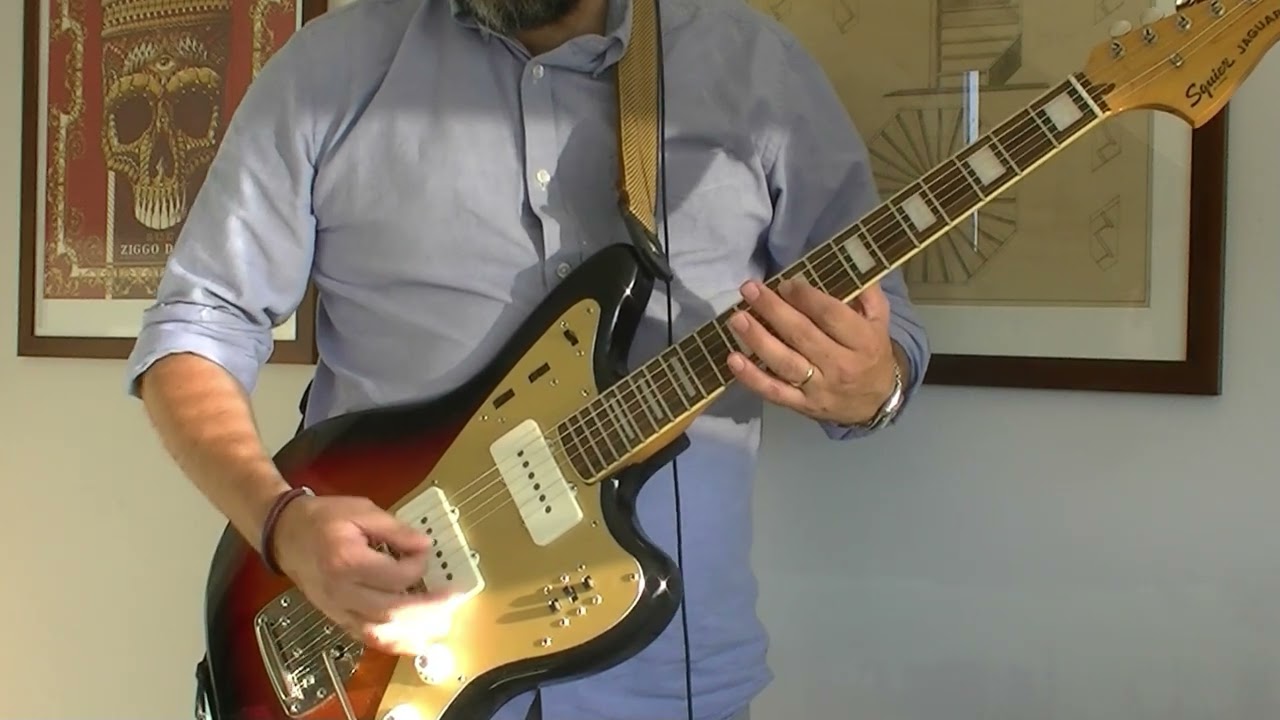 Sonic Youth - Bull in the Heather (cover)