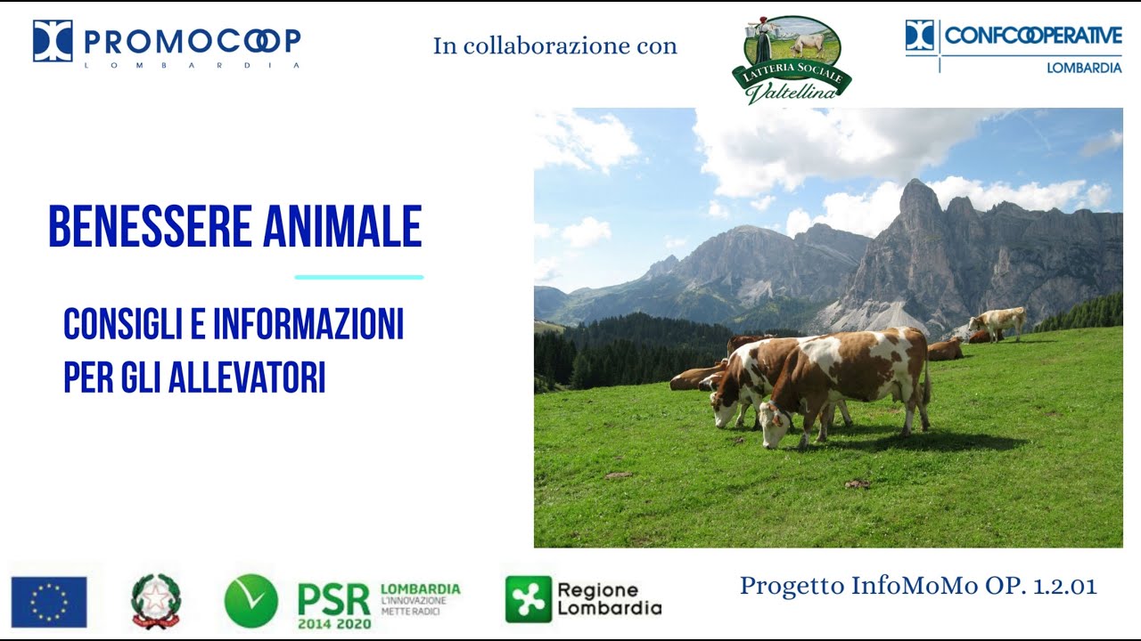 Benessere Animale consigli veterinari e informazioni per gli allevatori