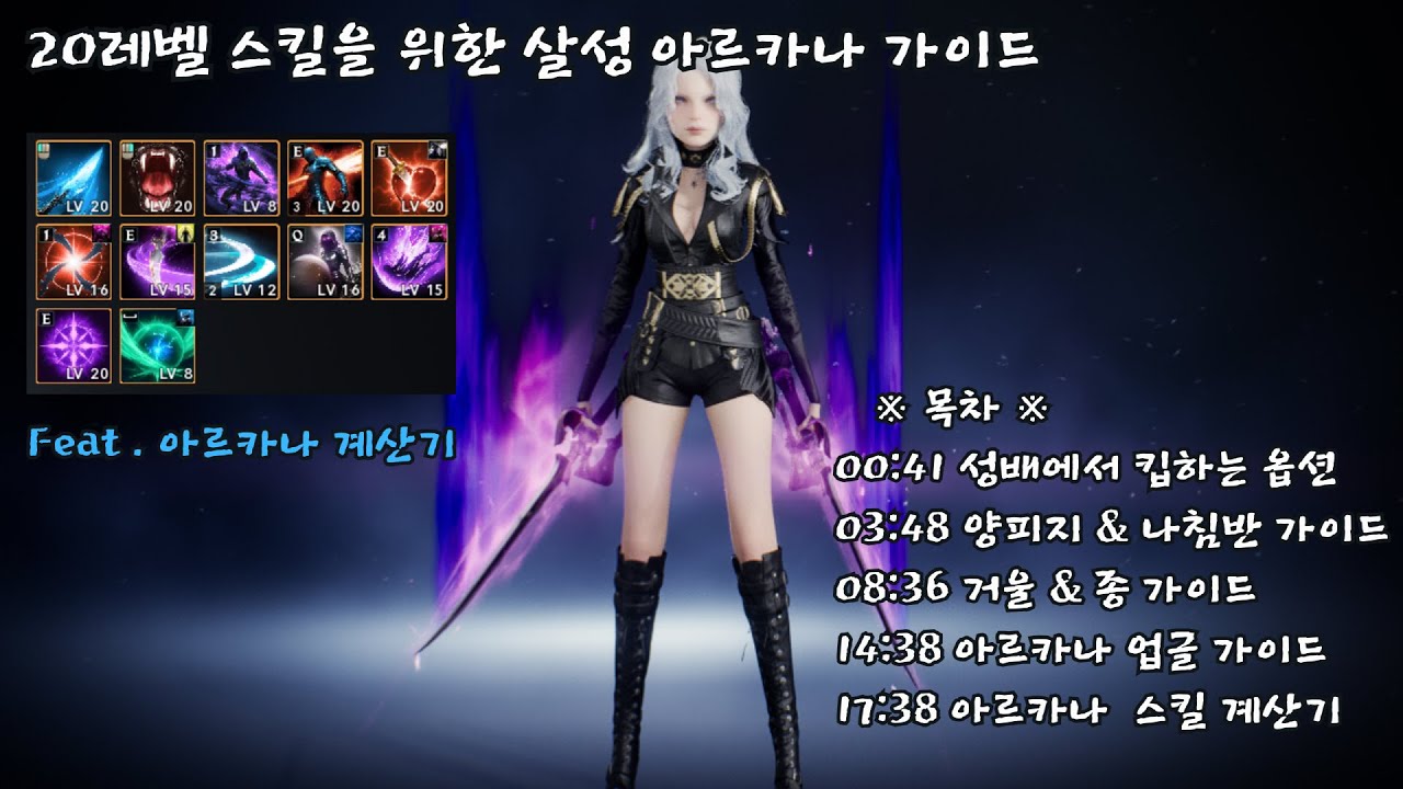 SoundFox] 2026.02.03 살성 아르카나 가이드