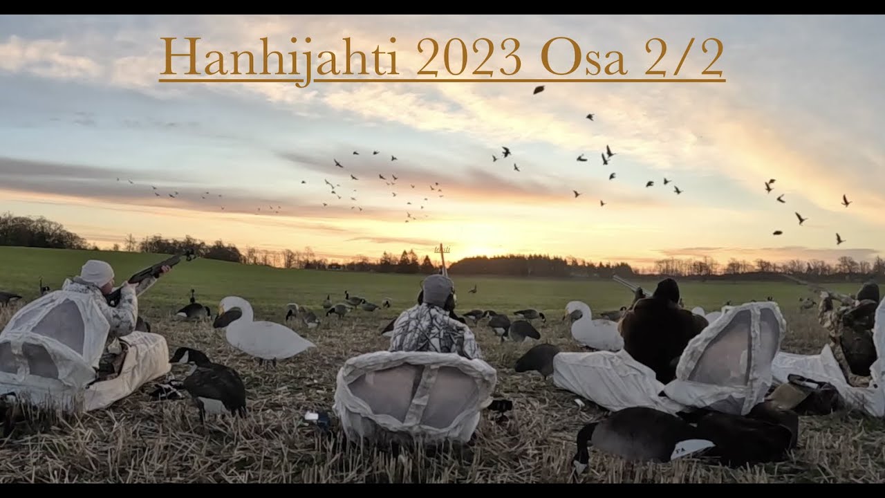 Hanhijahti 2023 Osa 2/2