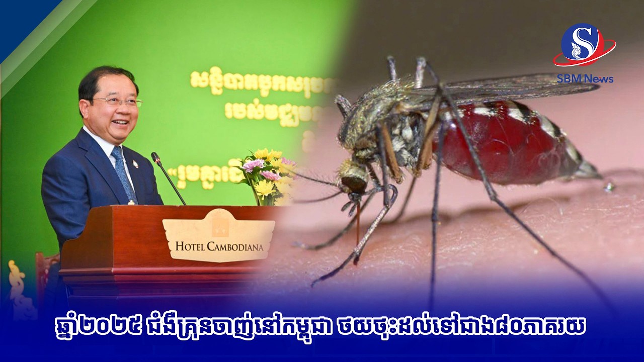 ឆ្នាំ២០២៥ ជំងឺគ្រុនចាញ់នៅកម្ពុជា ថយថុះដល់ទៅជាង៨០ភាគរយ