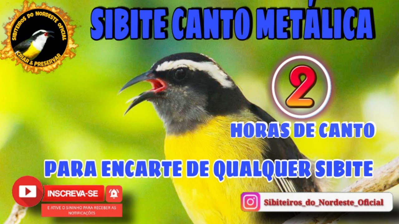 SIBITE CANTO METÁLICA