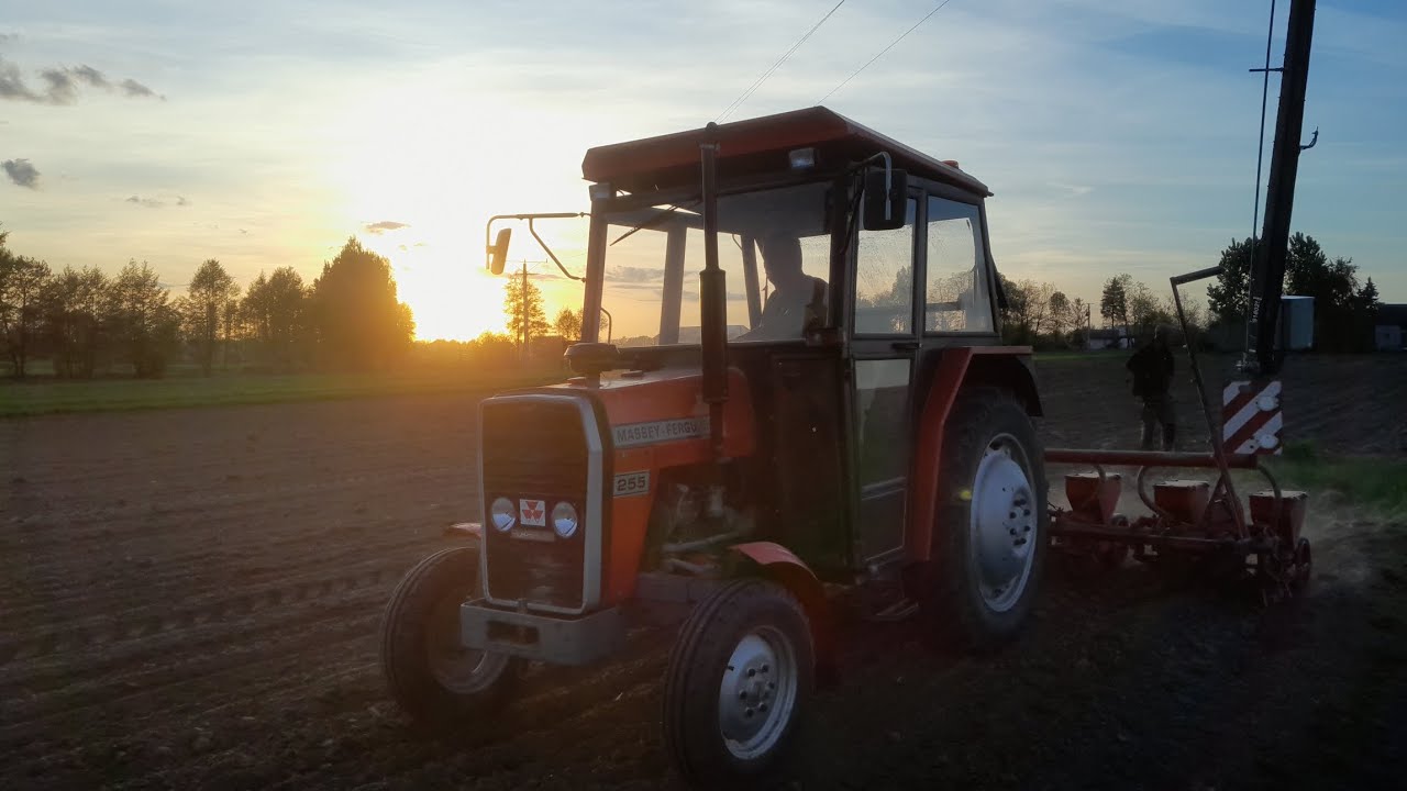 🇵🇱☆Siewy kukurydzy 2025☆🇵🇱 || Aeromat Becker 3 || Massey Ferguson 255 || Higieniewo w obiektywie