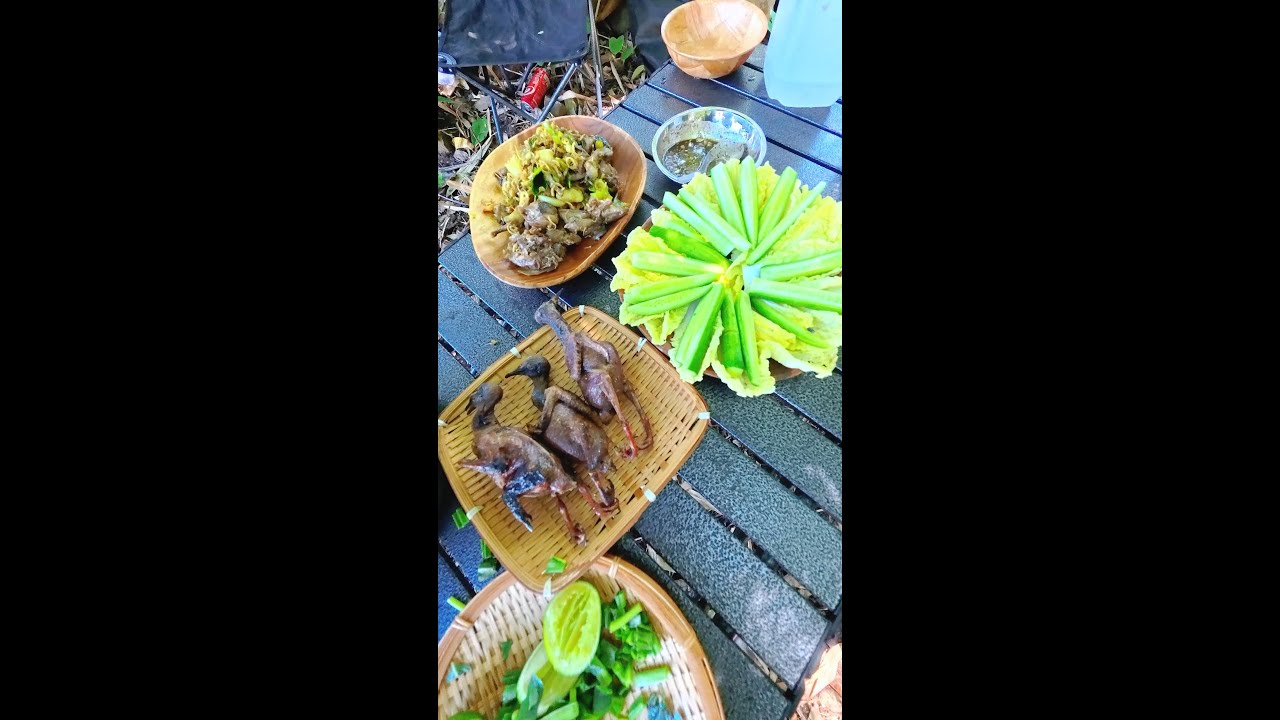 ផ្សងព្រេងក្នុងព្រៃអត់យកម្ហូបទៅទេរកអីបានហូបណឹងរកអត់បានហូបអំបិលហើយ adventure in forest no food taking