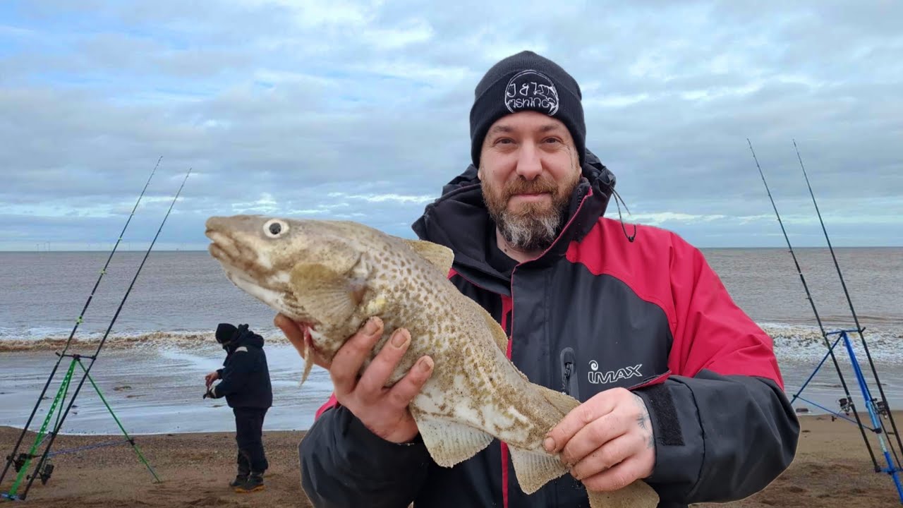Withernsea South Cod Hunt Day 2 Of 3
