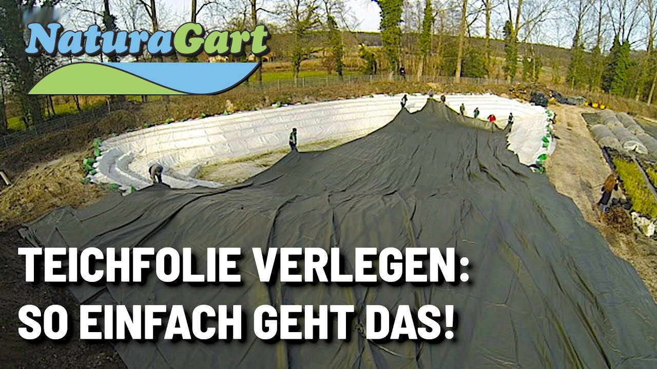 Große Teichfolie verlegen: fertig in wenigen Minuten