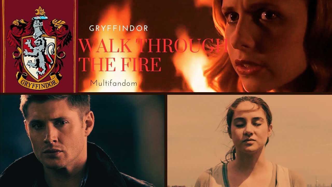 Gryffindor Pride || Walk Through The Fire {Multifandom}