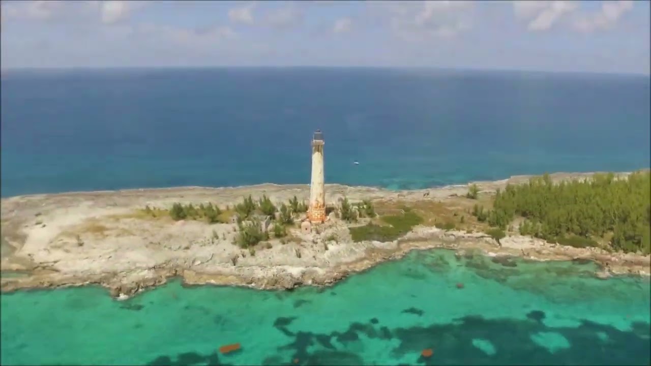 jfc international limited whale cay