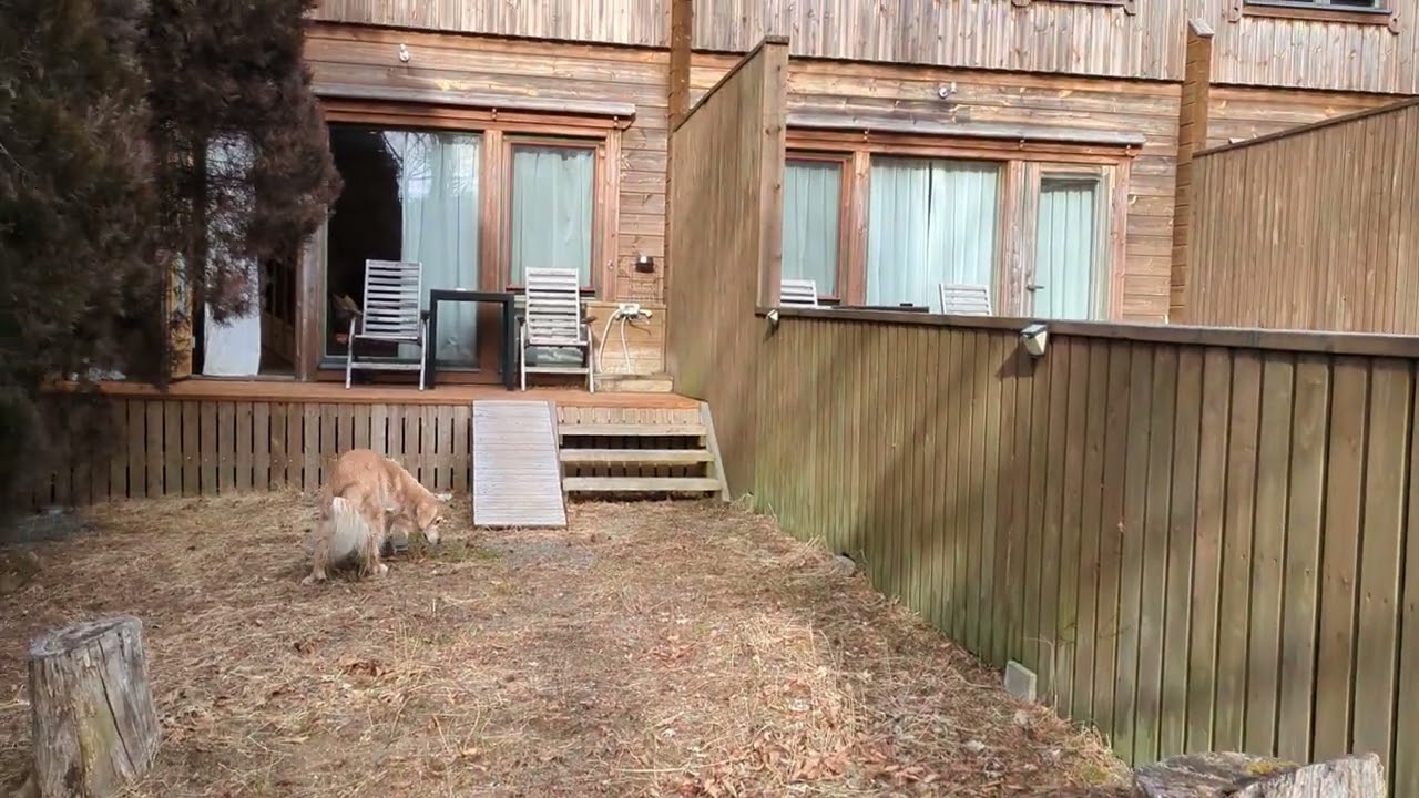 カーロフォレスタエルフォアジアのお部屋にお泊り！