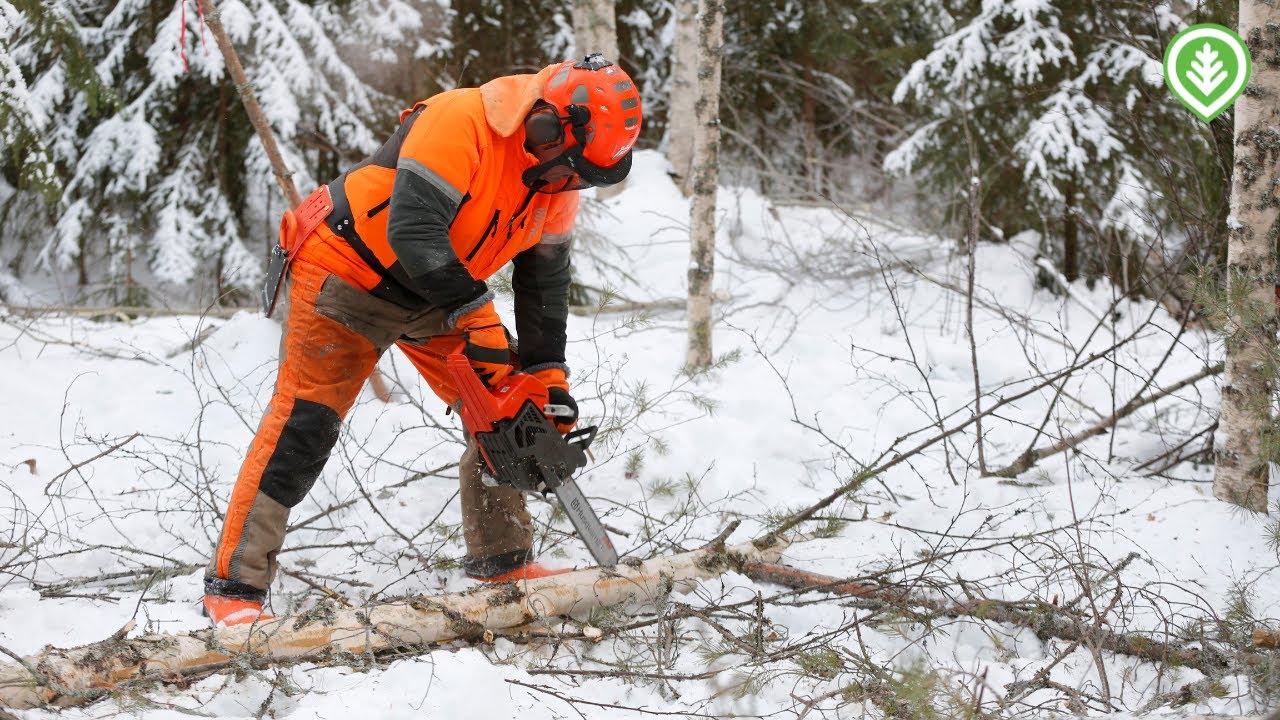 Keveästi rankametsässä | Metsälehti
