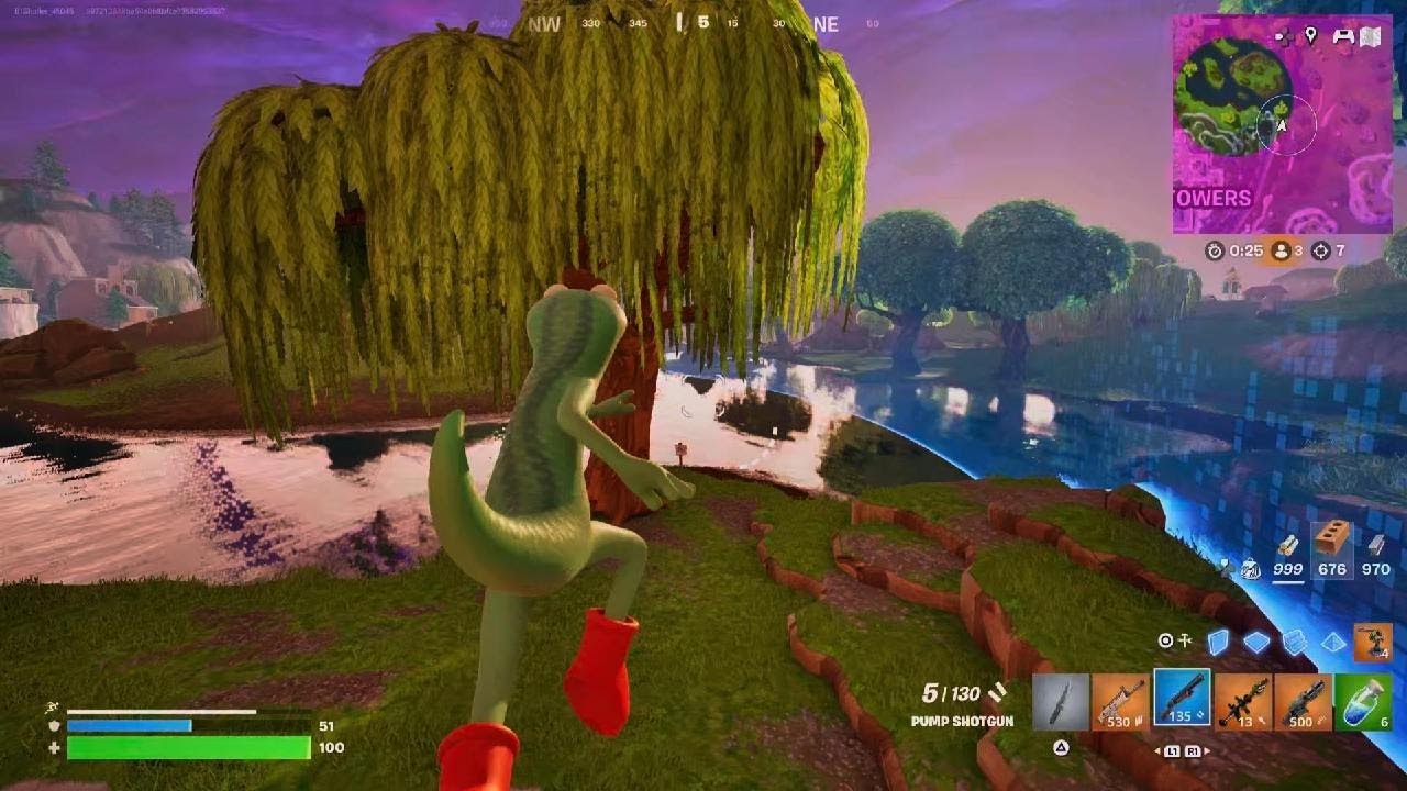 Fortnite Lizard  Win 2x