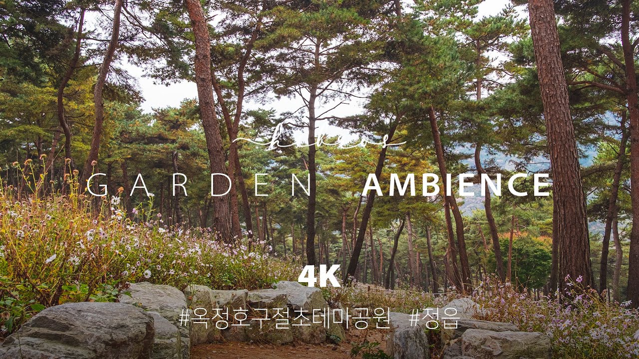 🎧 Relaxing Inside Forest Garden, Nature Ambience | Feel KOREA 4K Binaural Nature ASMR | Jeongeup