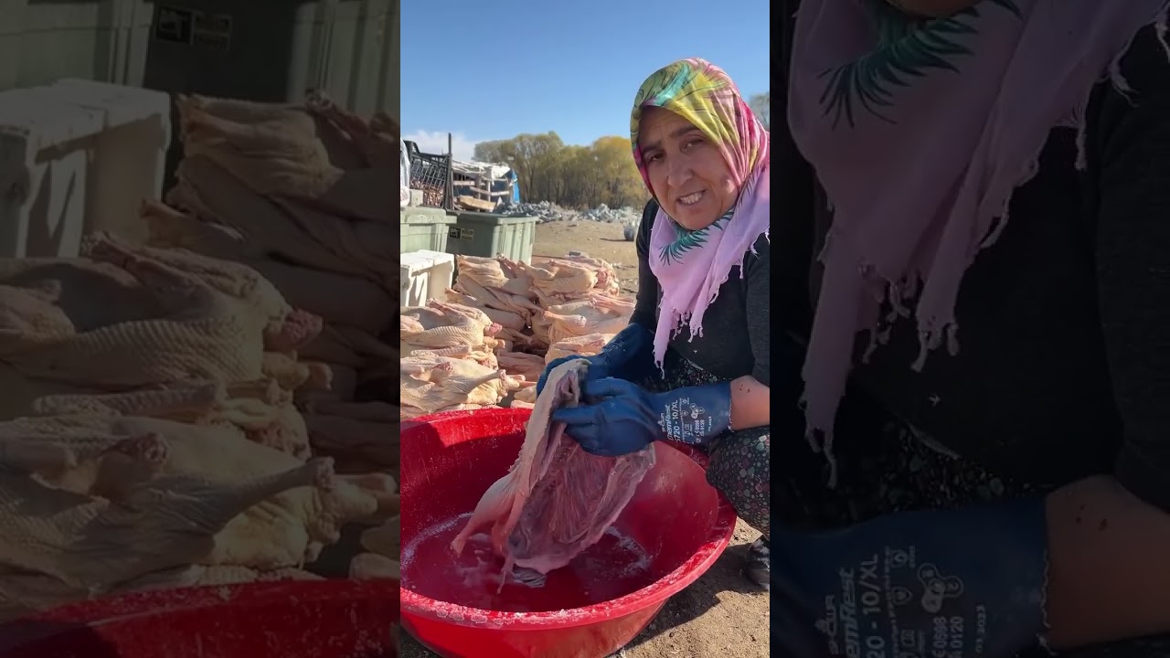 Kars&rsquo;ta Kışlık Kaz Kesimleri Başladı Kesilen Kazlar kurutuluyor
