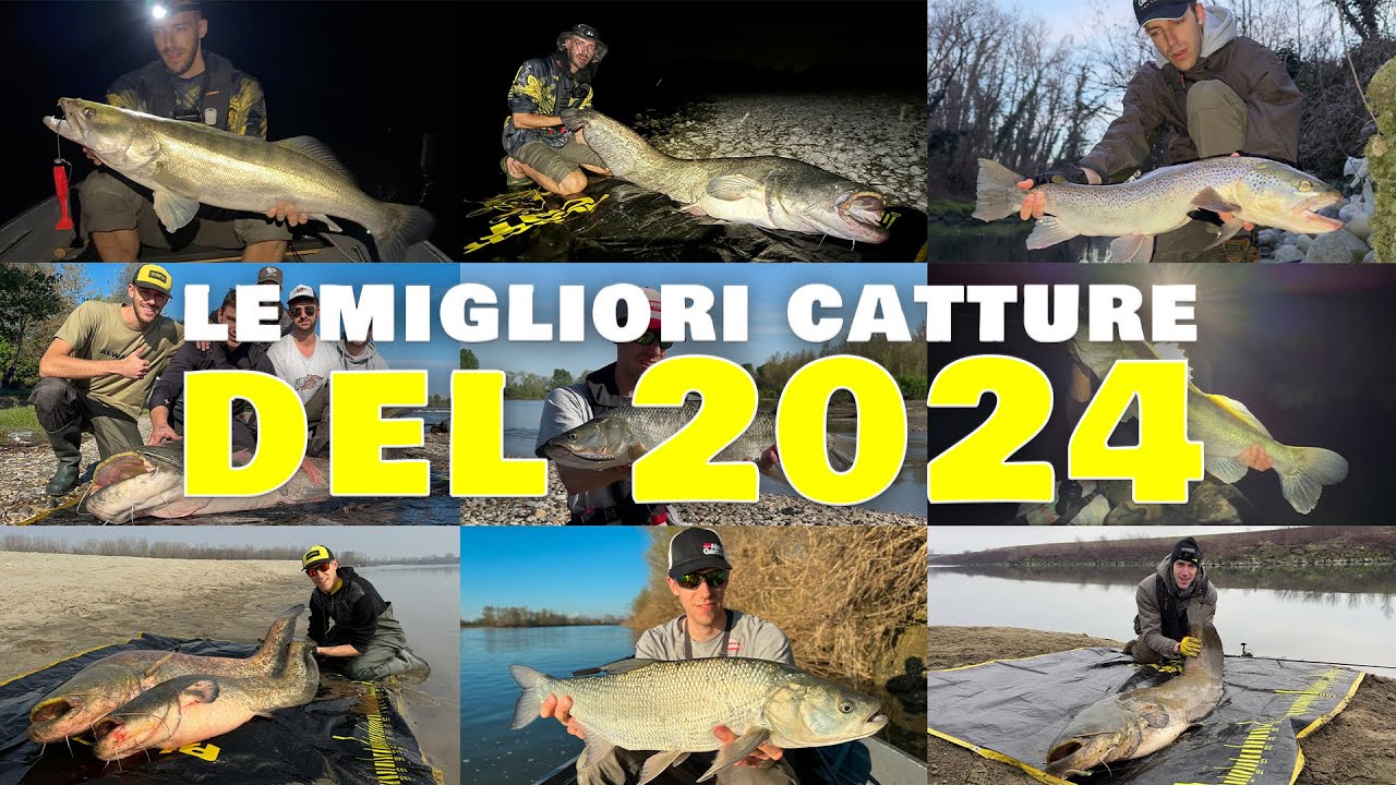 I mostri esistono e hanno le pinne! - LE MIGLIORI CATTURE DEL 2024