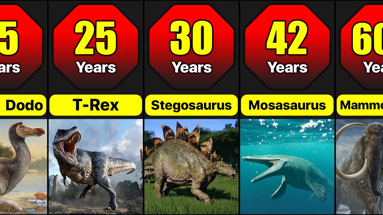Extinct Animal Lifespan Comparison | For How Long Prehistoric Animals Lived? #wildlife #animals